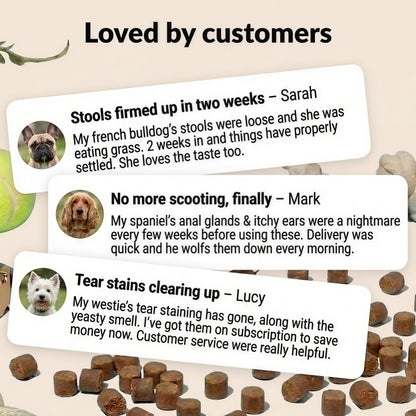 NutriPaw PRE,PRO& POST-BIOTIC Treats 120 tasty chews