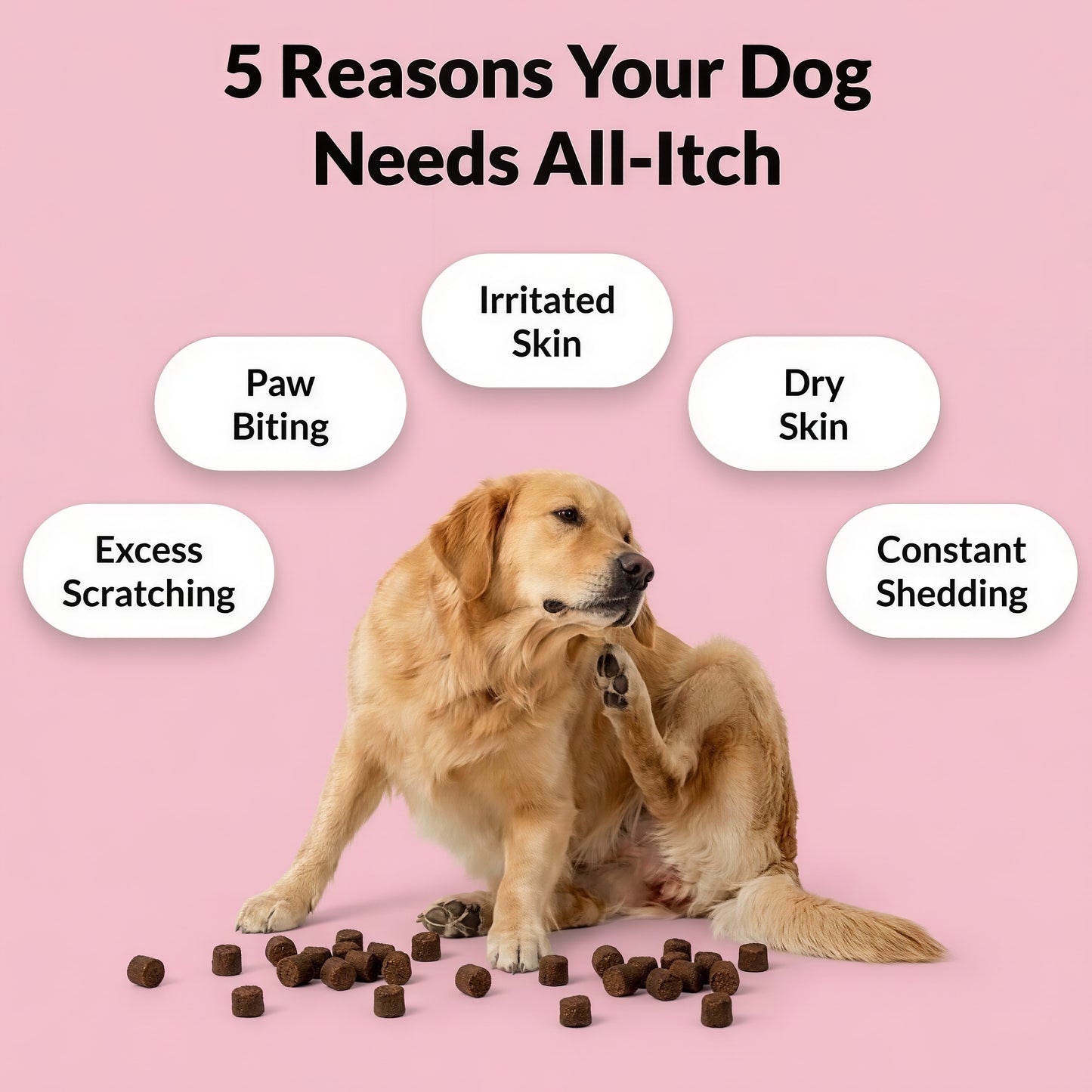 NutriPaw All-Itch Immunity Treats 120 tasty chews