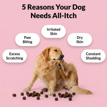 NutriPaw All-Itch Immunity Treats 120 tasty chews
